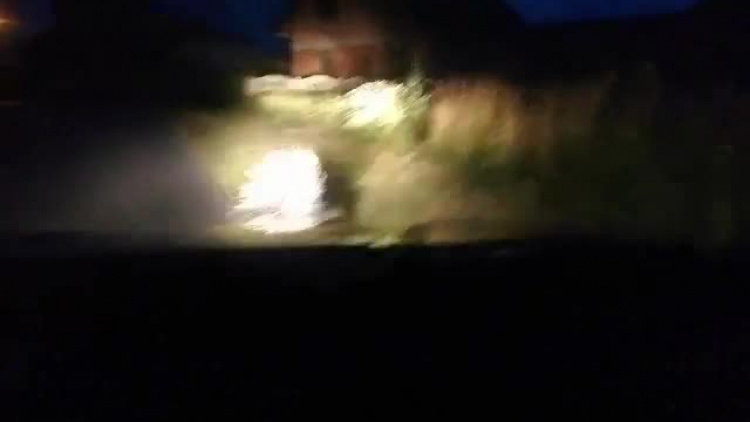 jezozwierz_od_zenon_kurzak.mp4