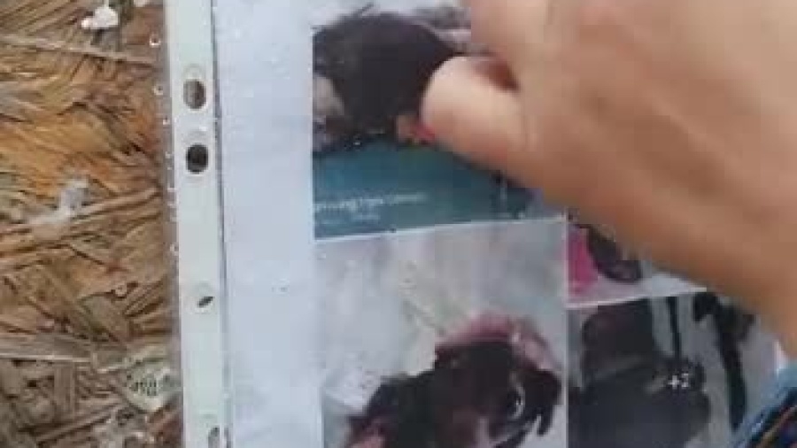 poszukiwania-sabinki-zawiercie.mp4