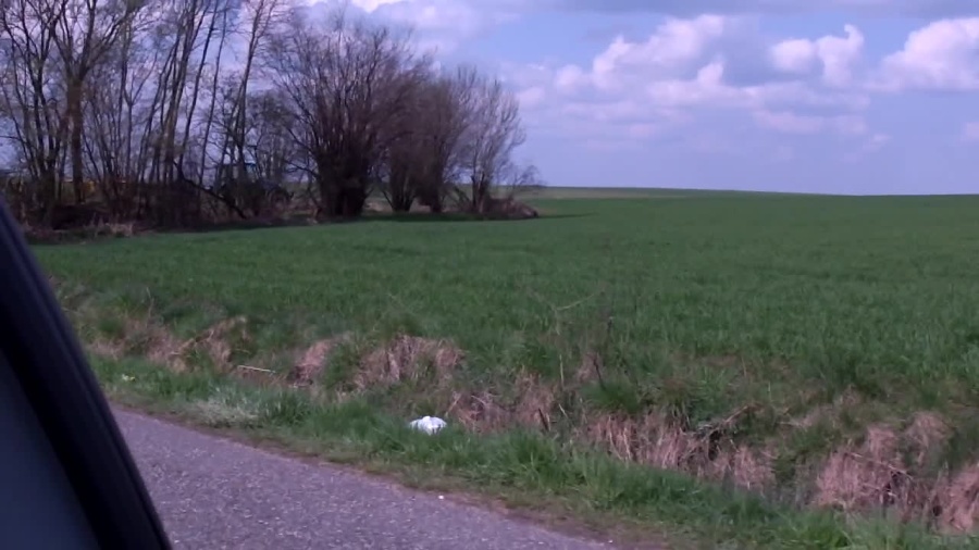 zuk-kozieglowy-czysci-prywatna-dzialke.mp4