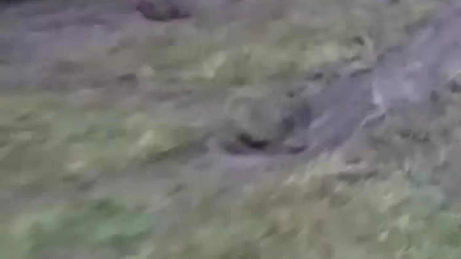 video-2022-12-13-11-22-12-nagranie-rolnika.mp4