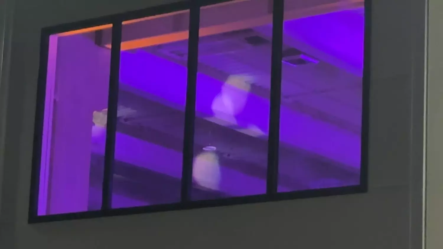 krzysztof-cugowski-i-zespol-mistrzow-koncert-w-firmie-omega-na-zewnatrz-31-01-2026-3.mp4